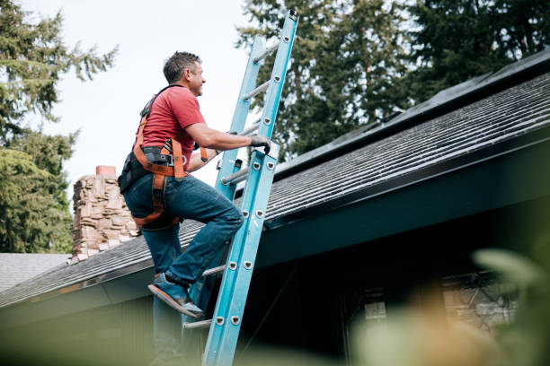 Best Skylight Installation and Repair  in Ransomville, NY