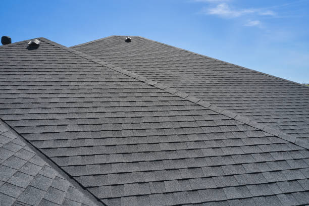Best Roof Moss and Algae Removal  in Ransomville, NY